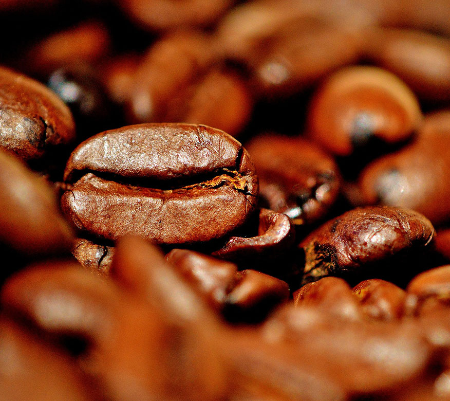 Las tres principales regiones de cultivo de café.