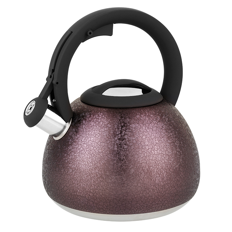2.7L Elegante simplicidad Fábrica al por mayor Acepta personalización Caldera de silbido de acero inoxidable púrpura con mango de nylon